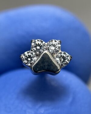 Joya Piercing Huella / En Titanio Para Oreja