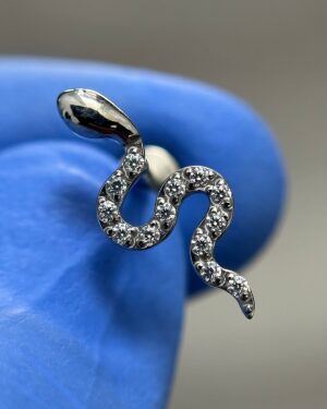 Joya Piercing Culebra / En titanio Para Oreja