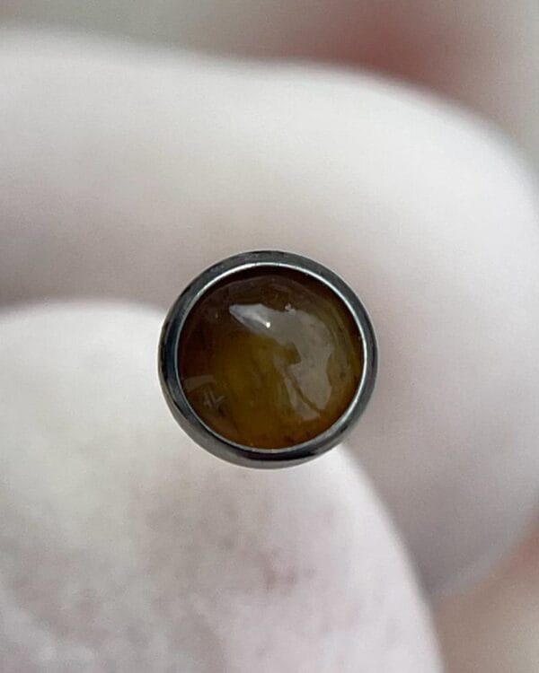 Joya Piercing Café · En titanio para oreja, nariz y boca