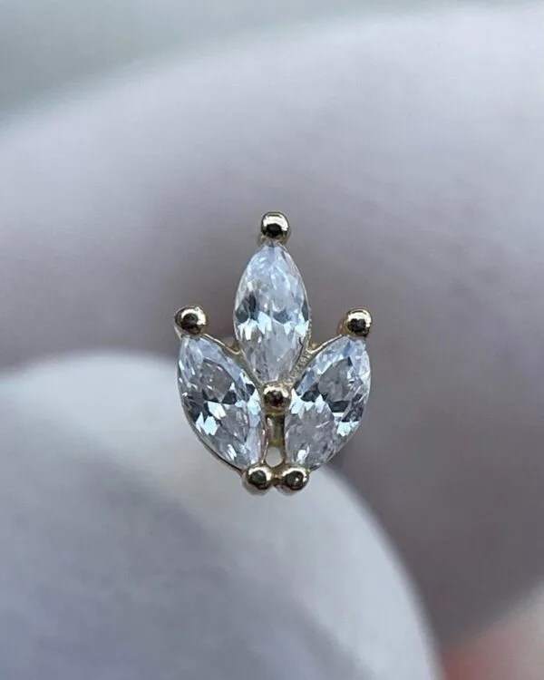 Joya Piercing Ecar