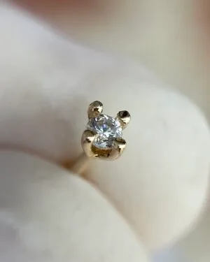 Joya Piercing Chis