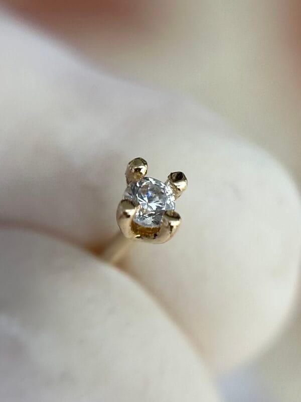 Joya Piercing Chis